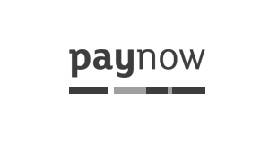 Paynow - a new payment in the online store